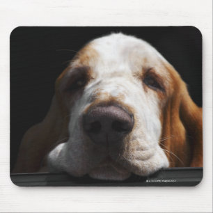 Basset Hound, das seinen Kopf stillsteht Mousepad