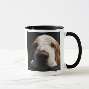 Basset Hound, das seinen Kopf stillsteht Tasse