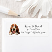 Basset Hound Dog (Insitu)