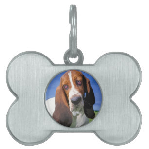 Basset Hound Dog Design Tiermarke