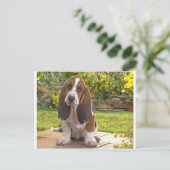Basset Hound Dog Postkarte (Stehend Vorderseite)