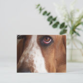 Basset Hound Dog Postkarte (Stehend Vorderseite)