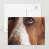 Basset Hound Dog Postkarte (Vorne/Hinten)