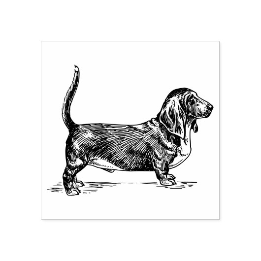 Basset Hound Dog Rasse Gummistempel (Prägung)