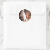Basset Hound Dog Sticker (Tasche)