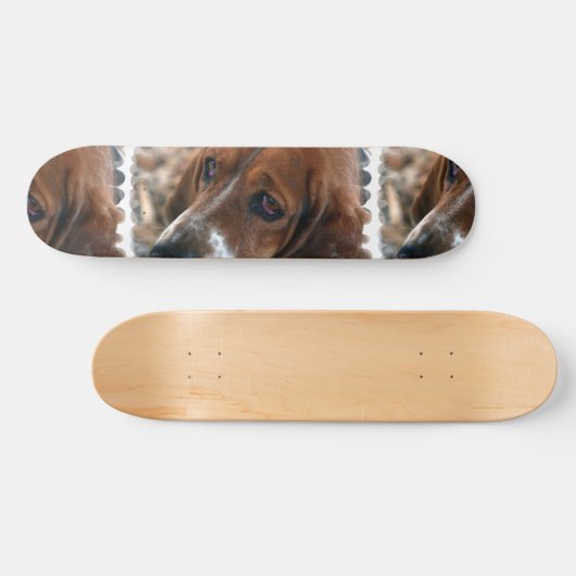 Basset Hound-Entwurfs-Skateboard Skateboard (Horizontal)