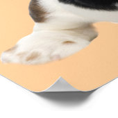 Basset Hound Fabulous Face Print Poster (Ecke)