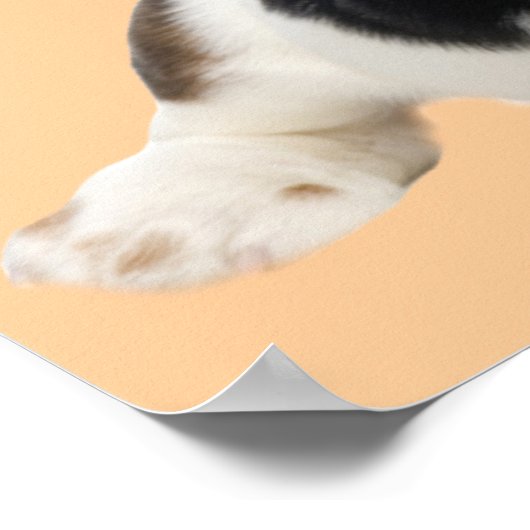 Basset Hound Fabulous Face Print Poster (Ecke)