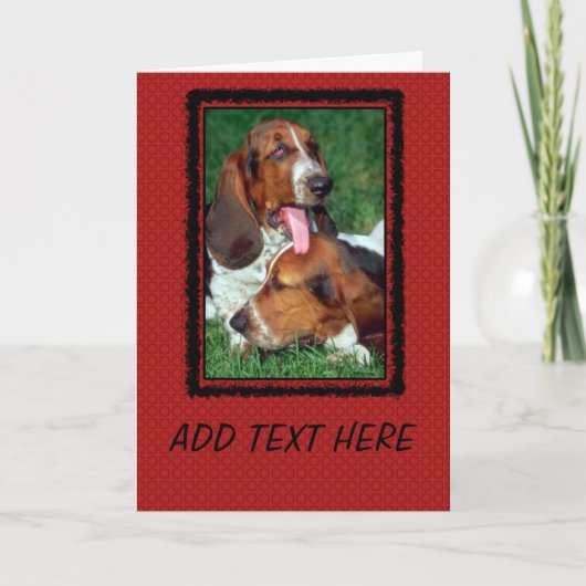 Basset-Hound-Foto Karte (Vorderseite)