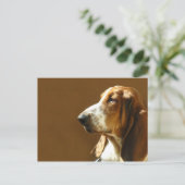 Basset Hound Foto Postkarte (Stehend Vorderseite)
