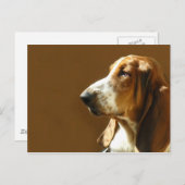 Basset Hound Foto Postkarte (Vorne/Hinten)