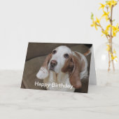 Basset Hound Geburtstagskarte Karte (Gelbe Blume)
