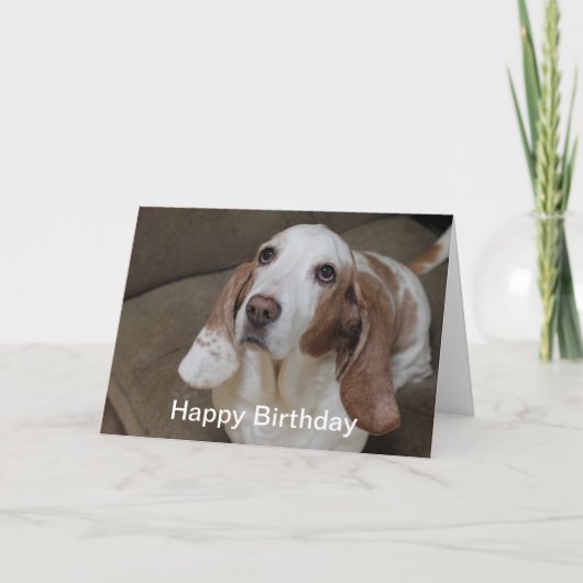 Basset Hound Geburtstagskarte Karte (Vorderseite)