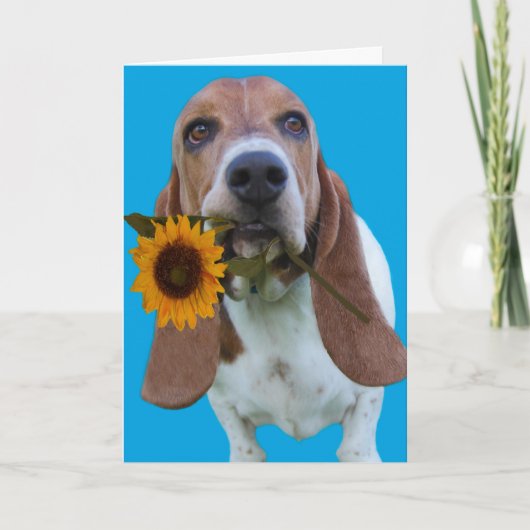 Basset Hound Get Well Card Karte (Vorderseite)