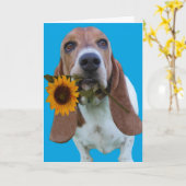 Basset Hound Get Well Card Karte (Gelbe Blume)