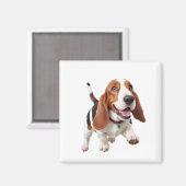 Basset Hound glücklich spielerischer Spaß beim Spr Magnet (Vorderseite/Rückseite)