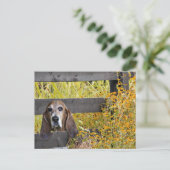 Basset Hound howdy Postkarte (Stehend Vorderseite)