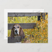 Basset Hound howdy Postkarte (Vorne/Hinten)