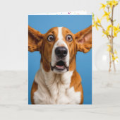 Basset Hound Humore Geburtstag Karte (Gelbe Blume)
