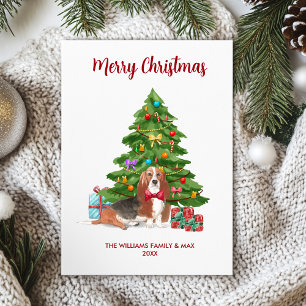 Basset Hound Hund Weihnachten