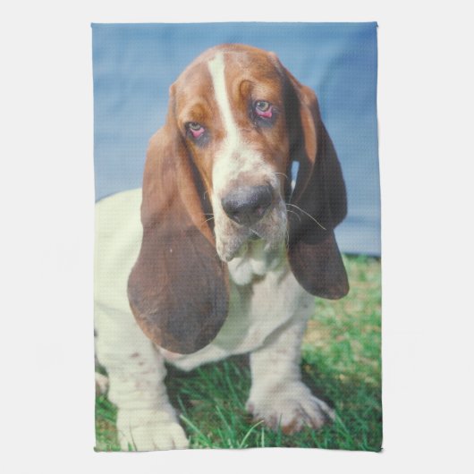 Basset Hound-HundeGeschirrtuch Handtuch (Vertikal)