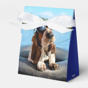 Basset Hound in Sonnenbrille Geschenkschachtel