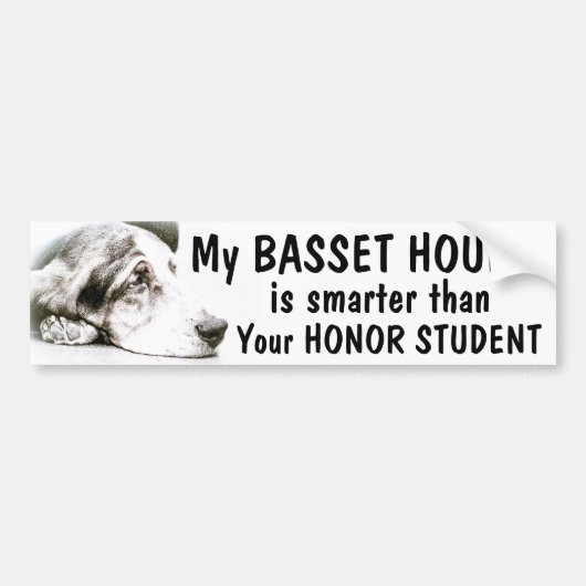 Basset Hound - intelligenter als Ehrenstudent - Autoaufkleber (Vorne)