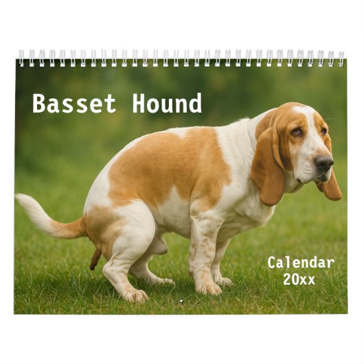 Basset Hound Kalender 2026 (Titelbild)