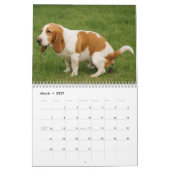 Basset Hound Kalender 2026 (Mär 2027)