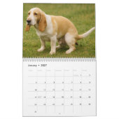 Basset Hound Kalender 2026 (Jan 2027)