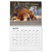 Basset-Hound-Kalender Kalender (Mär 2027)