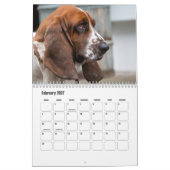 Basset-Hound-Kalender Kalender (Feb 2027)
