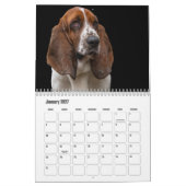 Basset-Hound-Kalender Kalender (Jan 2027)
