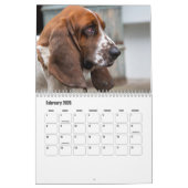Basset-Hound-Kalender Kalender (Feb 2026)