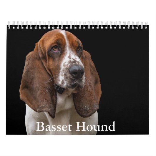Basset-Hound-Kalender Kalender (Titelbild)