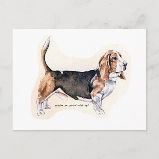 Basset-Hound-Karte Postkarte (Vorderseite)