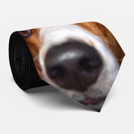 Basset Hound Krawatte (Gerollt)