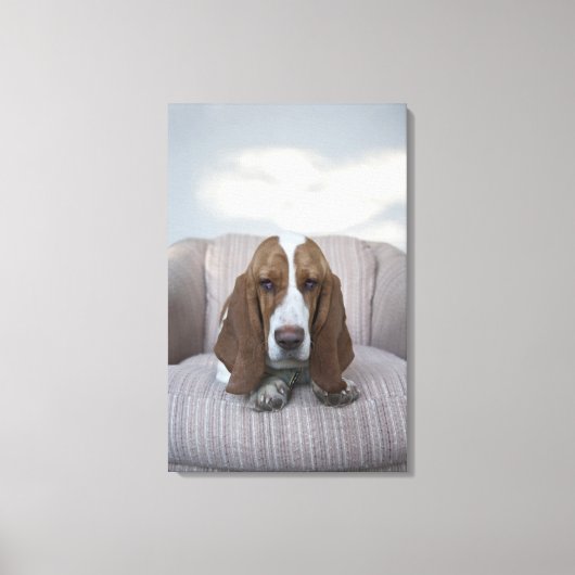Basset Hound Leinwanddruck (Vorderseite)