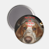 Basset Hound Magnet (Vorderseite/Rückseite)
