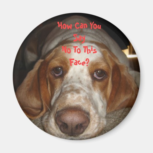Basset Hound Magnet (Vorne)
