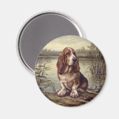 Basset Hound Magnet (Vorderseite/Rückseite)