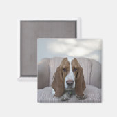 Basset Hound Magnet (Vorderseite/Rückseite)