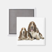 Basset-Hound-Magnet Magnet (Vorderseite/Rückseite)