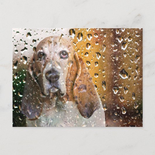 Basset Hound Miss You Postkarte (Vorderseite)