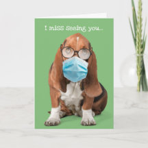 Basset Hound mit Gesichtsmaske und Foggy Brille