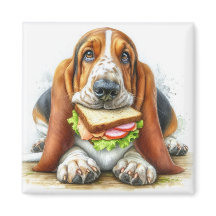 Basset Hound mit Sandwich-Magnet