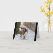 Basset Hound mit Sonnenbrille Karte (Gelbe Blume)
