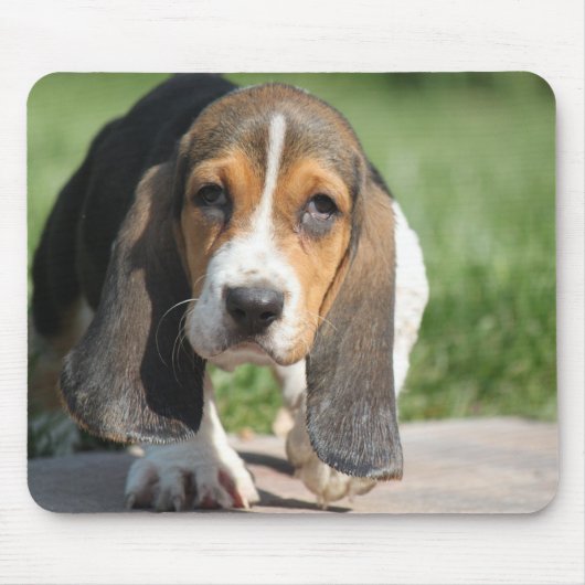 Basset Hound Mousepad (Vorne)