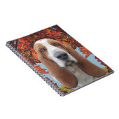 Basset Hound Notizblock (Rechte Seite)