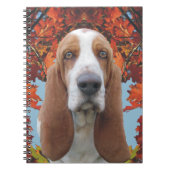 Basset Hound Notizblock (Vorderseite)